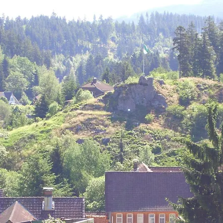 Apartman Gaestehaus-nietmann-ferienwohnung-7 Altenau